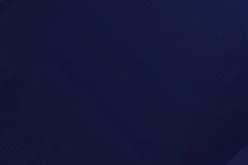 津门虎主力中锋将在12月31日来到申花！未来有望被重用，值得期待